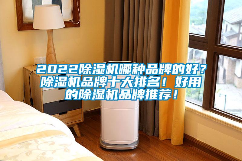 2022除濕機(jī)哪種品牌的好？除濕機(jī)品牌十大排名！好用的除濕機(jī)品牌推薦！