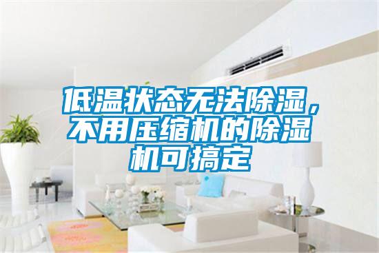 低溫狀態(tài)無(wú)法除濕，不用壓縮機(jī)的除濕機(jī)可搞定