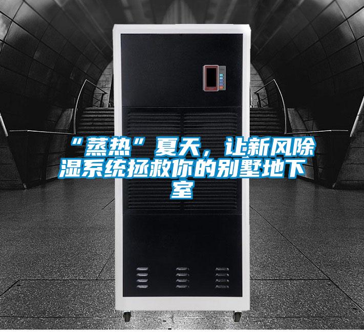 “蒸熱”夏天，讓新風除濕系統(tǒng)拯救你的別墅地下室