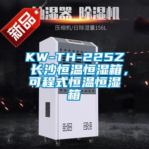 KW-TH-225Z 長沙恒溫恒濕箱，可程式恒溫恒濕箱