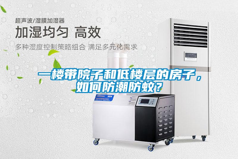 一樓帶院子和低樓層的房子，如何防潮防蚊？
