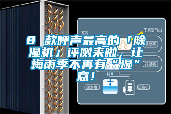 8 款呼聲最高的「除濕機(jī)」評測來啦，讓梅雨季不再有“濕”意！