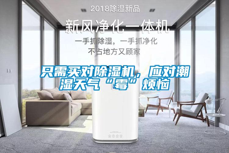 只需買對除濕機，應對潮濕天氣“霉”煩惱