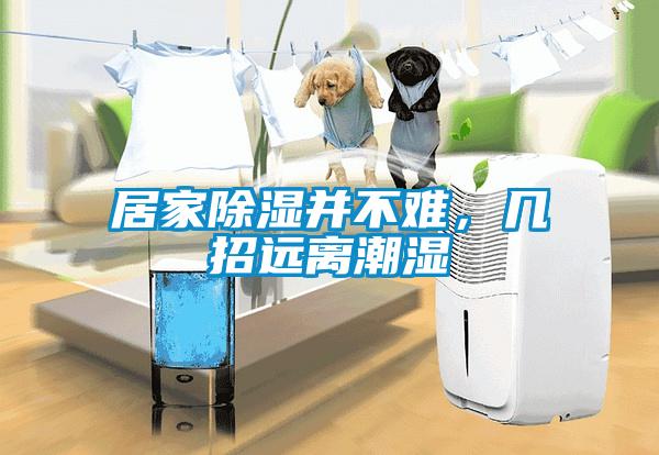 居家除濕并不難，幾招遠離潮濕