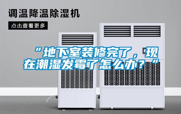 “地下室裝修完了，現(xiàn)在潮濕發(fā)霉了怎么辦？”