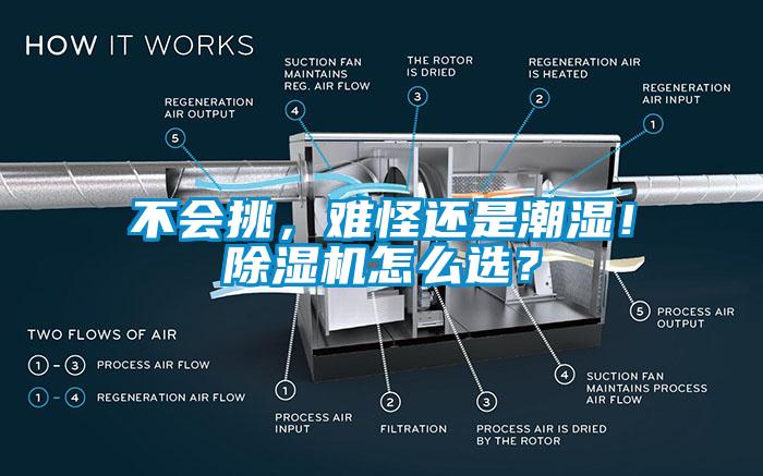 不會(huì)挑，難怪還是潮濕！除濕機(jī)怎么選？