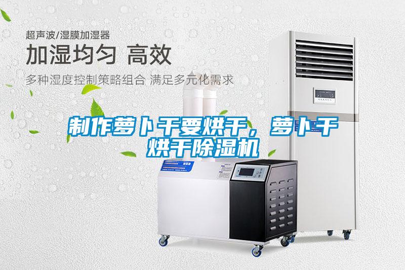 制作蘿卜干要烘干，蘿卜干烘干除濕機(jī)