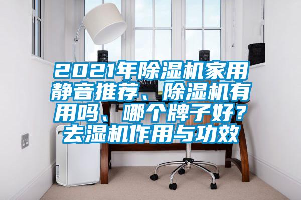 2021年除濕機家用靜音推薦、除濕機有用嗎、哪個牌子好？去濕機作用與功效