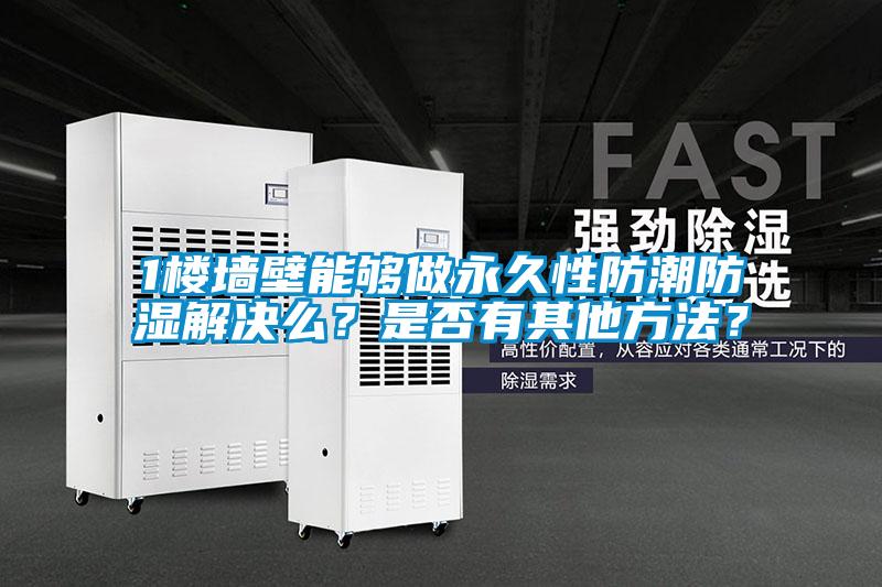 1樓墻壁能夠做永久性防潮防濕解決么？是否有其他方法？