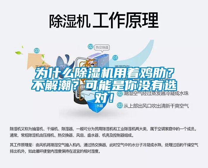 為什么除濕機(jī)用著雞肋？不解潮？可能是你沒有選對！
