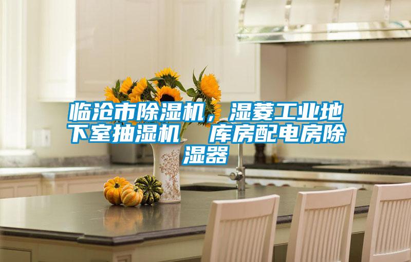 臨滄市除濕機(jī)，濕菱工業(yè)地下室抽濕機(jī)  庫(kù)房配電房除濕器