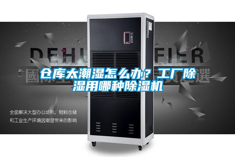 倉庫太潮濕怎么辦？工廠除濕用哪種除濕機(jī)