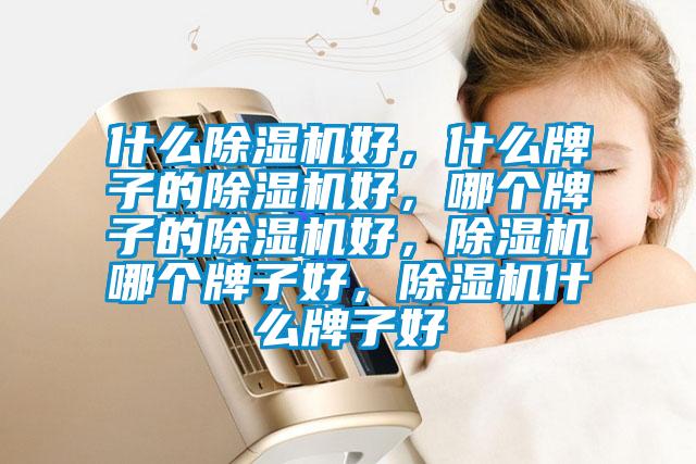 什么除濕機(jī)好，什么牌子的除濕機(jī)好，哪個(gè)牌子的除濕機(jī)好，除濕機(jī)哪個(gè)牌子好，除濕機(jī)什么牌子好