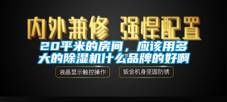 20平米的房間，應(yīng)該用多大的除濕機(jī)什么品牌的好啊