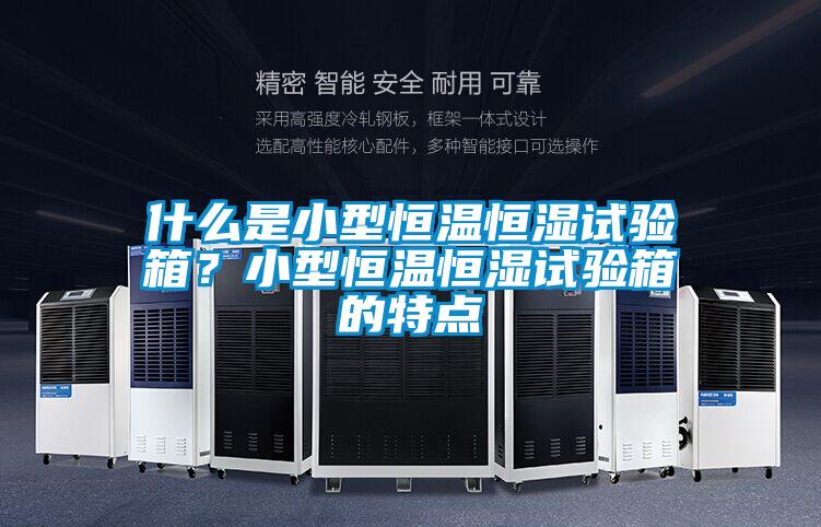 什么是小型恒溫恒濕試驗(yàn)箱？小型恒溫恒濕試驗(yàn)箱的特點(diǎn)