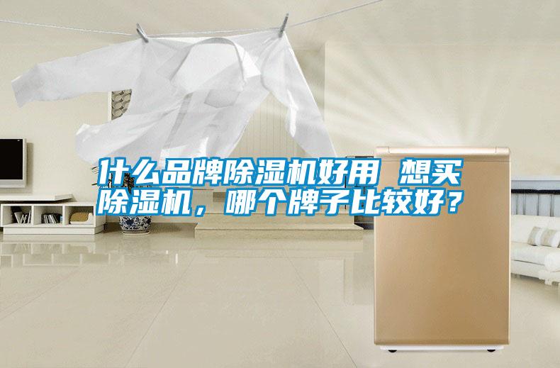 什么品牌除濕機(jī)好用 想買(mǎi)除濕機(jī)，哪個(gè)牌子比較好？