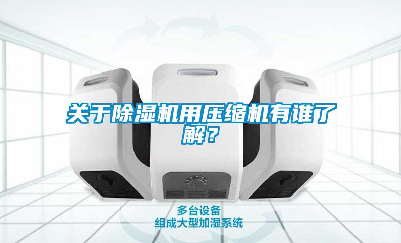 關(guān)于除濕機(jī)用壓縮機(jī)有誰(shuí)了解？