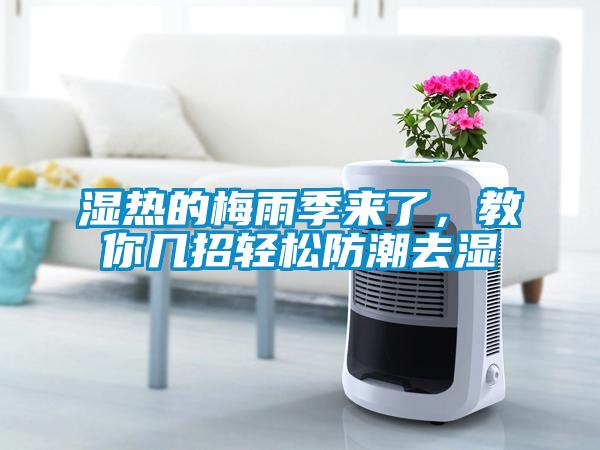 濕熱的梅雨季來了，教你幾招輕松防潮去濕