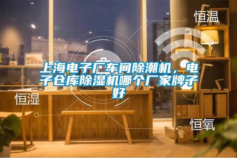 上海電子廠車間除潮機(jī)，電子倉庫除濕機(jī)哪個廠家牌子好
