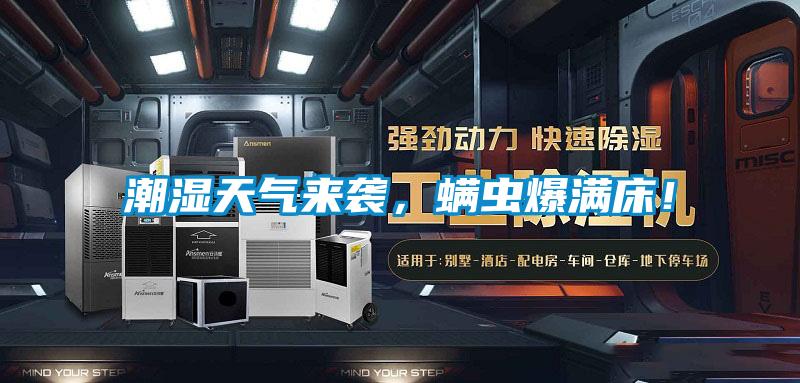 潮濕天氣來襲，螨蟲爆滿床！