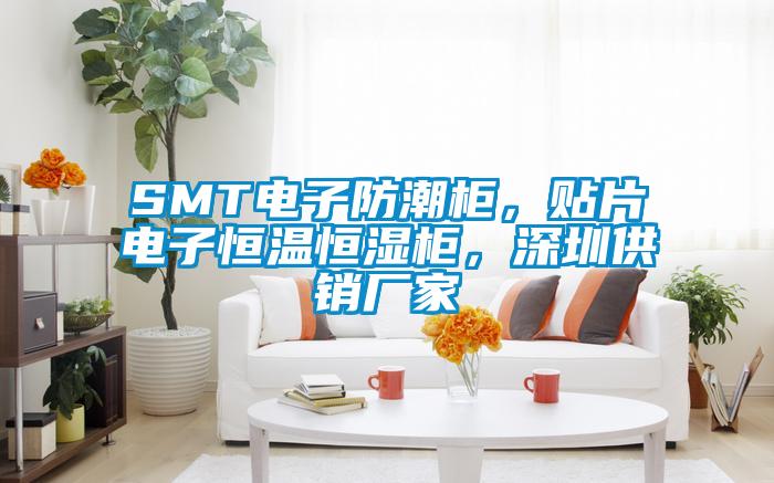 SMT電子防潮柜，貼片電子恒溫恒濕柜，深圳供銷廠家