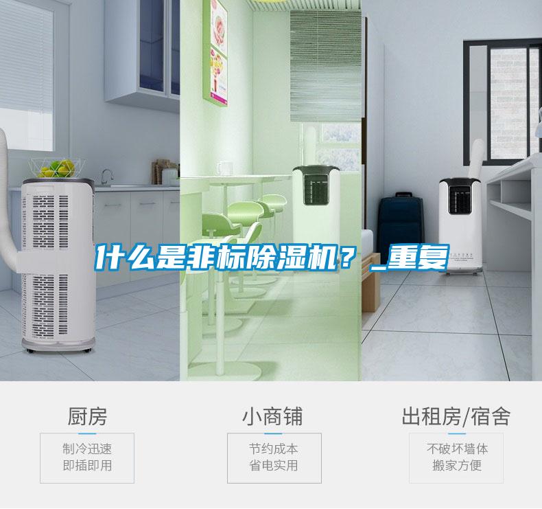 什么是非標(biāo)除濕機(jī)？_重復(fù)