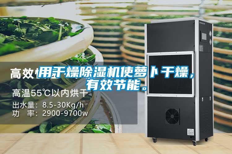 用干燥除濕機使蘿卜干燥，有效節(jié)能。