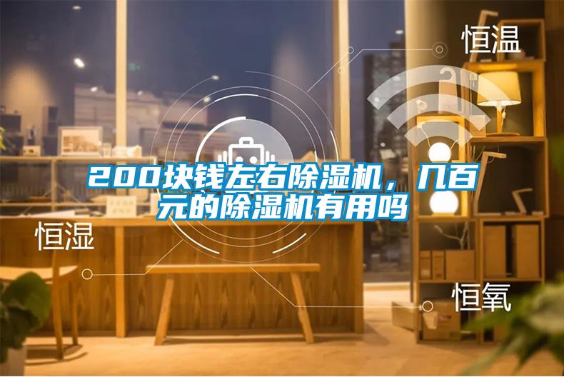 200塊錢左右除濕機(jī)，幾百元的除濕機(jī)有用嗎