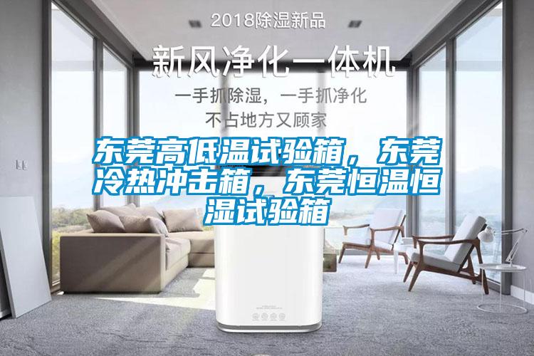 東莞高低溫試驗(yàn)箱，東莞冷熱沖擊箱，東莞恒溫恒濕試驗(yàn)箱