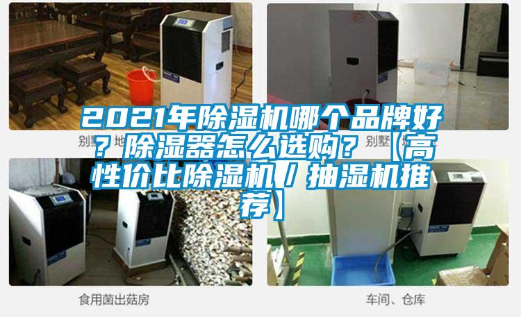 2021年除濕機(jī)哪個(gè)品牌好？除濕器怎么選購(gòu)？【高性價(jià)比除濕機(jī)／抽濕機(jī)推薦】