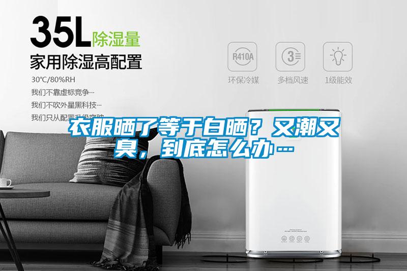 衣服曬了等于白曬？又潮又臭，到底怎么辦…