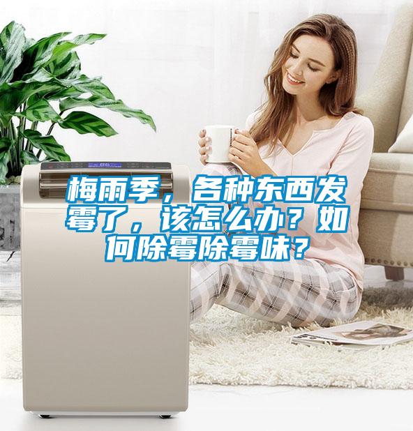 梅雨季，各種東西發(fā)霉了，該怎么辦？如何除霉除霉味？