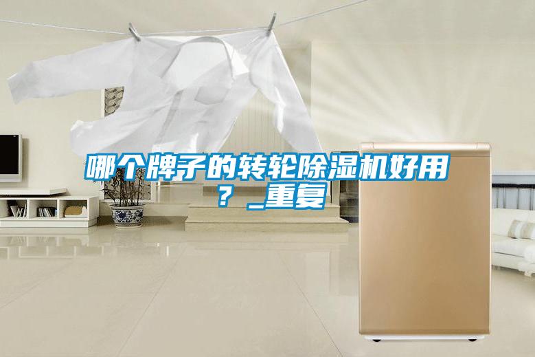 哪個(gè)牌子的轉(zhuǎn)輪除濕機(jī)好用？_重復(fù)