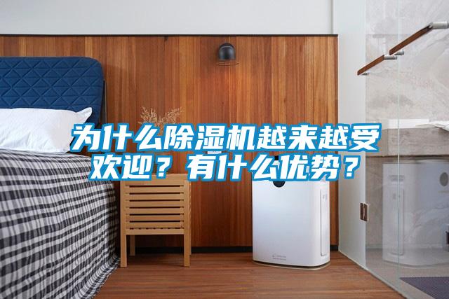為什么除濕機(jī)越來(lái)越受歡迎？有什么優(yōu)勢(shì)？