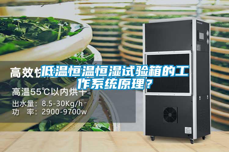 低溫恒溫恒濕試驗(yàn)箱的工作系統(tǒng)原理？