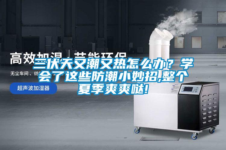 三伏天又潮又熱怎么辦？學(xué)會(huì)了這些防潮小妙招,整個(gè)夏季爽爽噠!