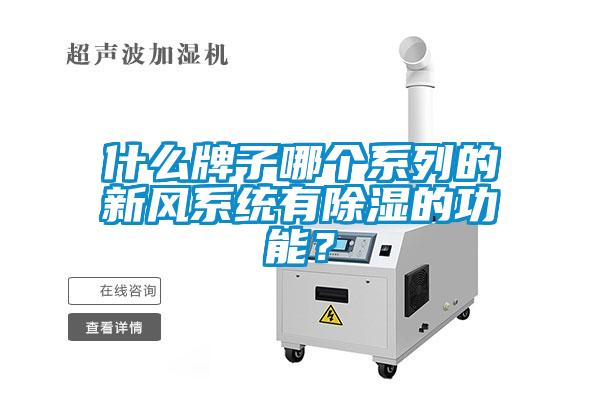 什么牌子哪個系列的新風(fēng)系統(tǒng)有除濕的功能？