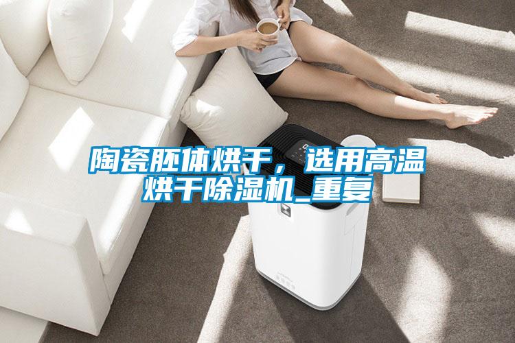 陶瓷胚體烘干，選用高溫烘干除濕機_重復(fù)