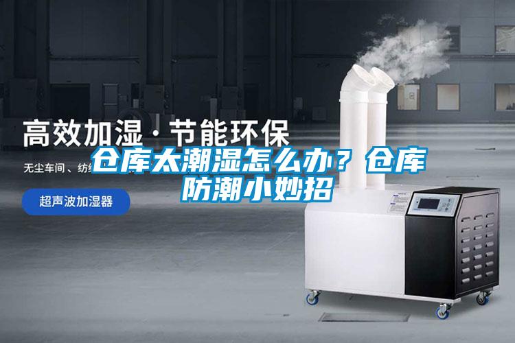 倉(cāng)庫(kù)太潮濕怎么辦？倉(cāng)庫(kù)防潮小妙招