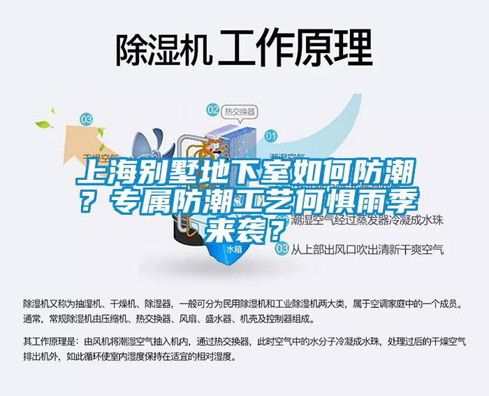 上海別墅地下室如何防潮？專屬防潮工藝何懼雨季來襲？
