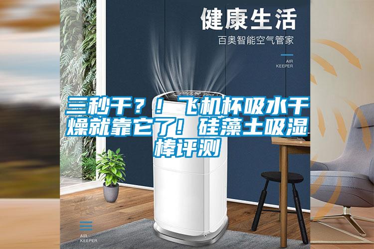 三秒干？! 飛機(jī)杯吸水干燥就靠它了! 硅藻土吸濕棒評(píng)測(cè)