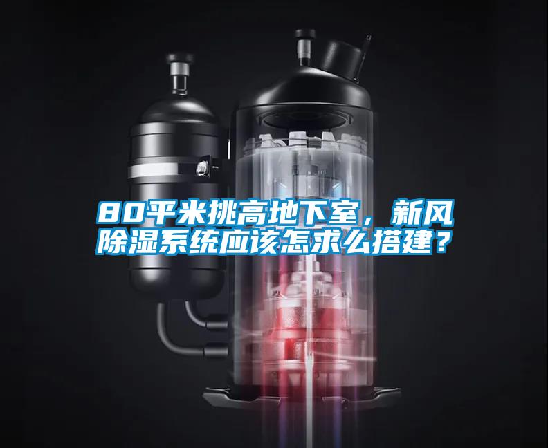 80平米挑高地下室，新風(fēng)除濕系統(tǒng)應(yīng)該怎求么搭建？