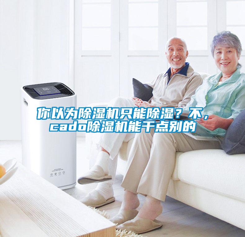 你以為除濕機(jī)只能除濕？不，cado除濕機(jī)能干點(diǎn)別的