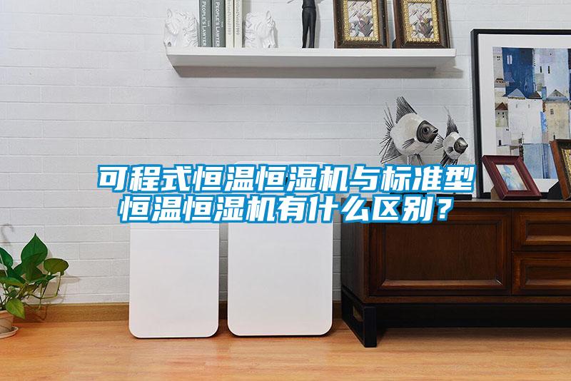 可程式恒溫恒濕機與標準型恒溫恒濕機有什么區(qū)別？