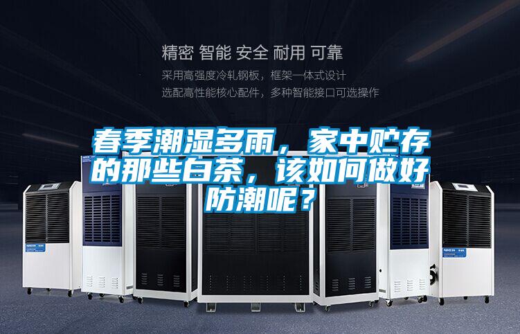 春季潮濕多雨，家中貯存的那些白茶，該如何做好防潮呢？