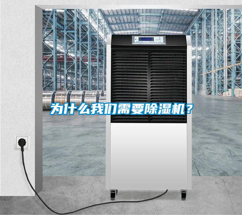 為什么我們需要除濕機？