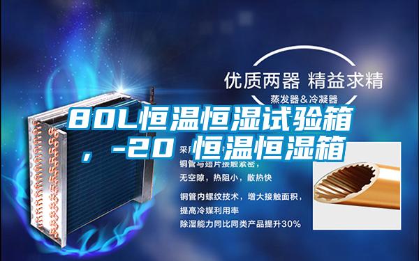 80L恒溫恒濕試驗(yàn)箱，-20℃恒溫恒濕箱
