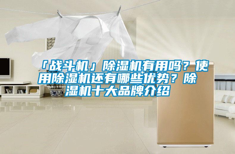 「戰(zhàn)斗機」除濕機有用嗎？使用除濕機還有哪些優(yōu)勢？除濕機十大品牌介紹