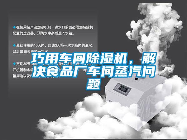巧用車間除濕機，解決食品廠車間蒸汽問題