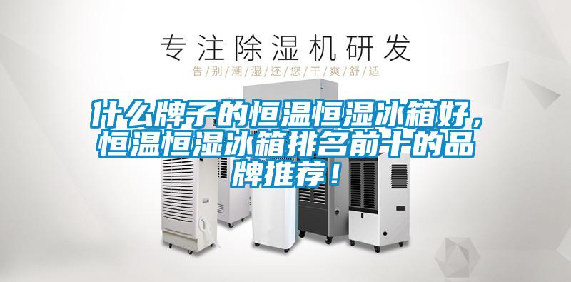 什么牌子的恒溫恒濕冰箱好，恒溫恒濕冰箱排名前十的品牌推薦！